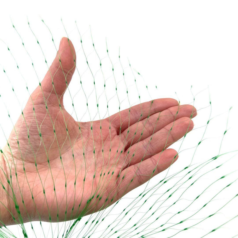 Síť proti ptákům