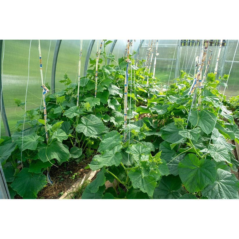 Polypropylenový motouz bílý 250g