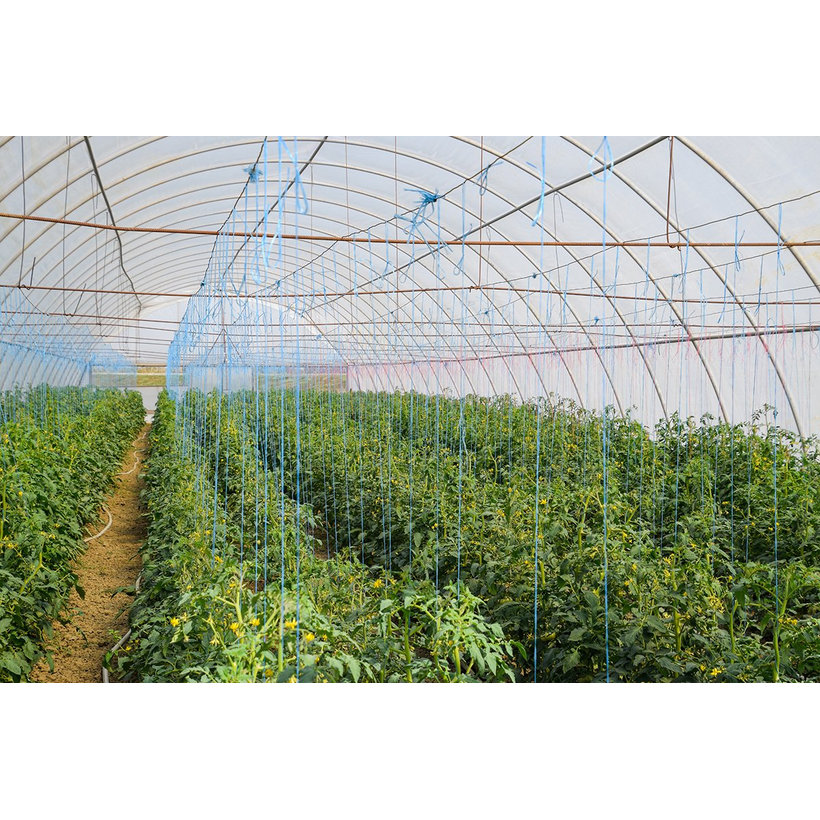 PES lano s jádrem barevné 16pr 6mm