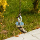Magnet s okem
