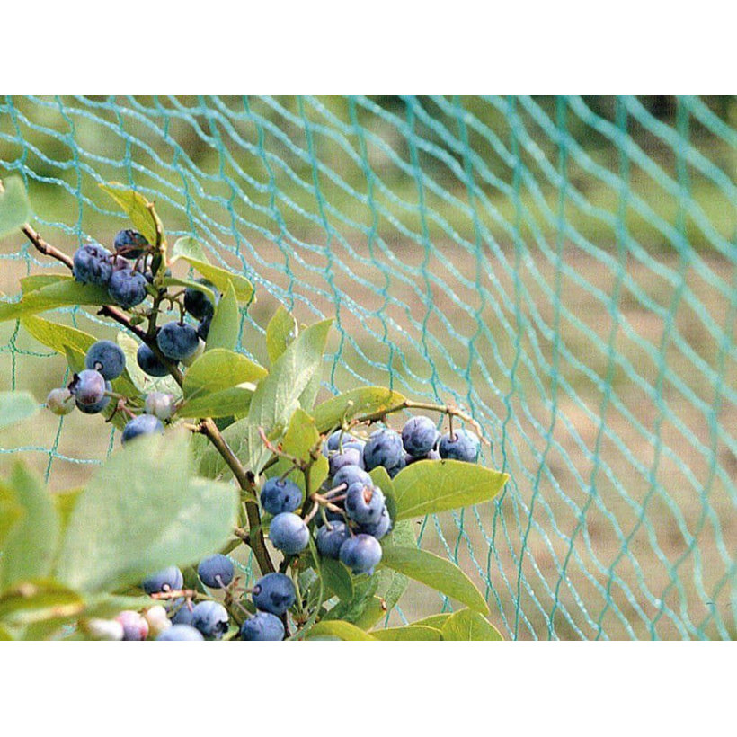 Síť proti ptákům