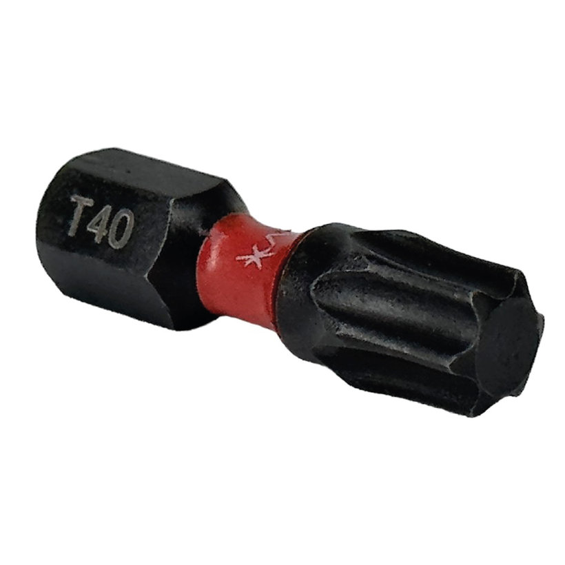 Bit magnetický TX40x25mm