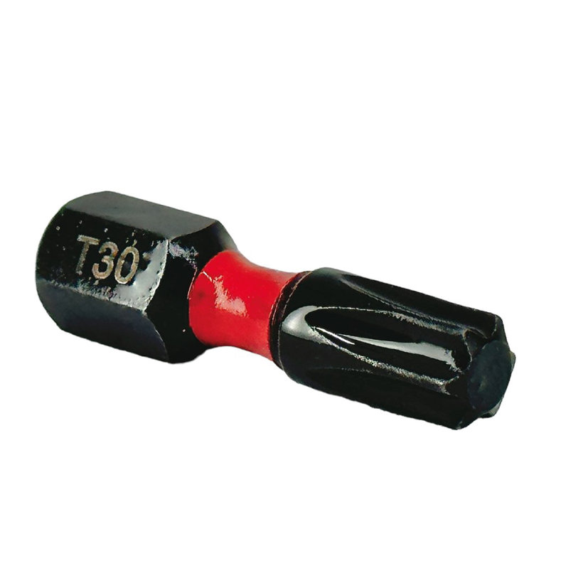 Bit magnetický TX30x25mm